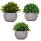 3pcs Mini Artificial Potted Plants – Realistic Fake Greenery Set in Decorative Pots, Small Faux Plants for Indoor Home & Desk Decor, No Maintenance